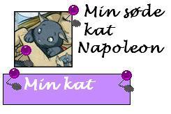o p&eacute;pito